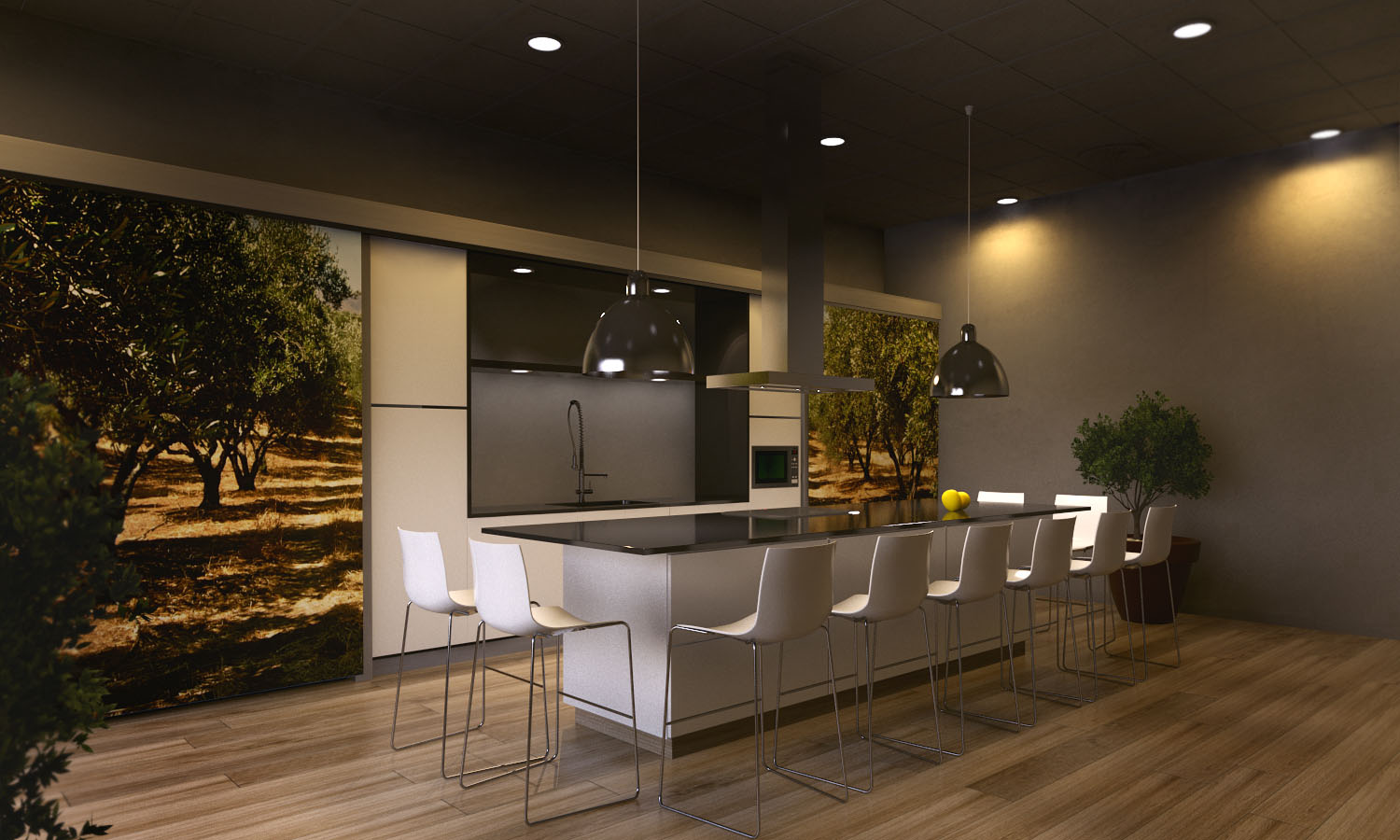 Deoleo — kitchen