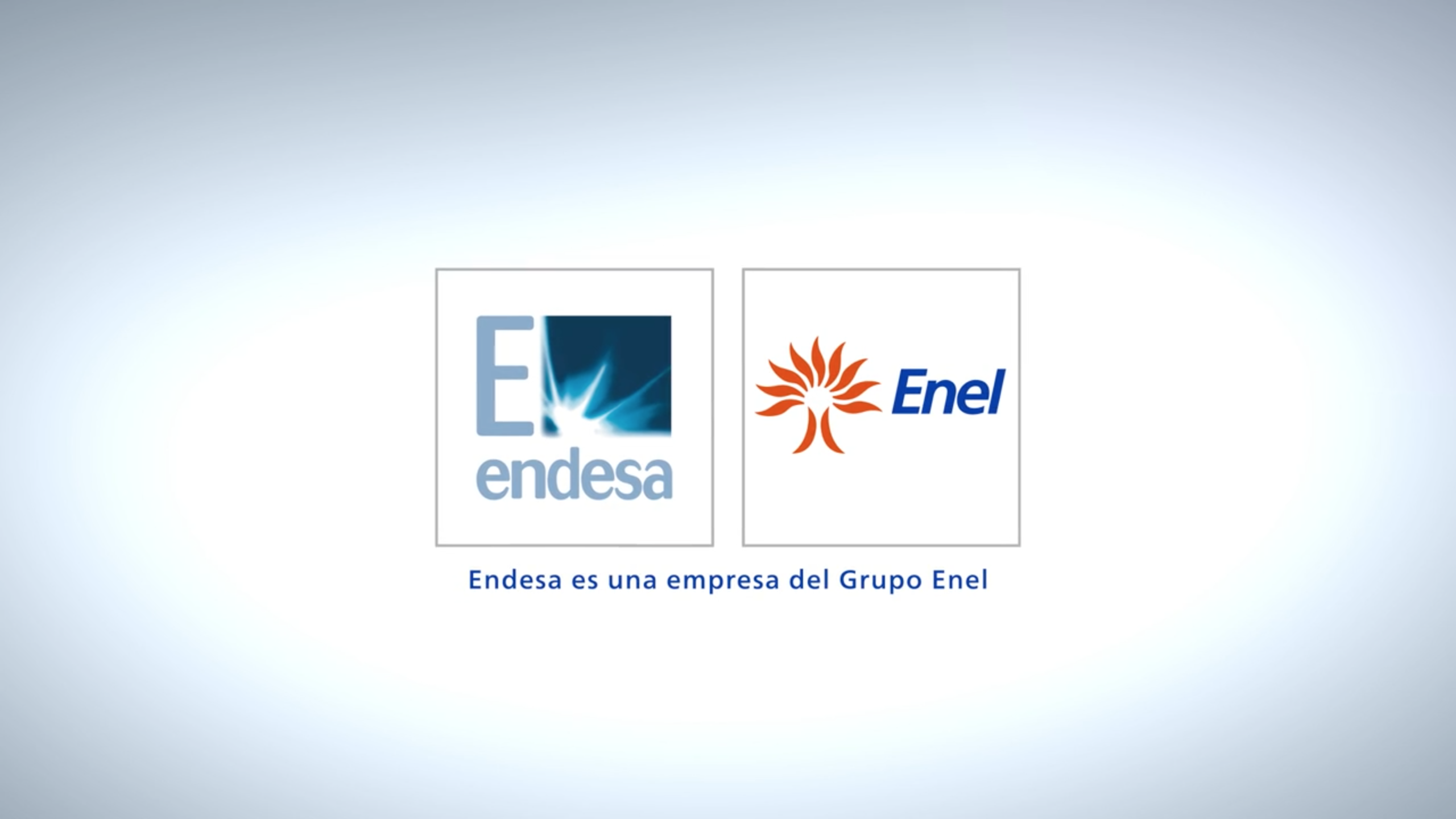 Endesa — logo