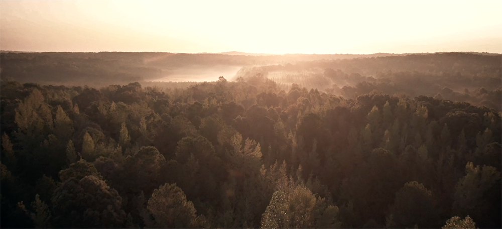 Wood Modulor — still
